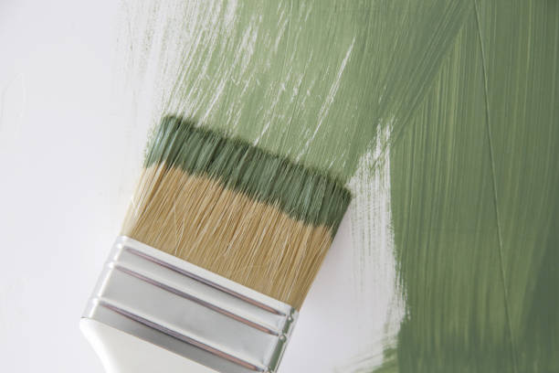 Mold Remediation for Rental Properties in Petal, MS