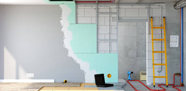 Best Industrial Mold Remediation  in Petal, MS