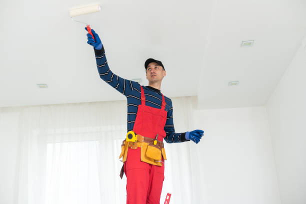 Best Black Mold Removal  in Petal, MS