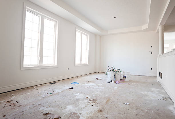 Mold Documentation for Insurance Claims in Petal, MS