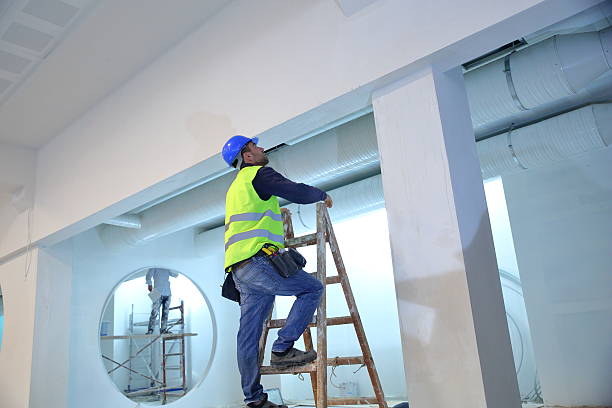 Best Water Damage & Mold Remediation  in Petal, MS