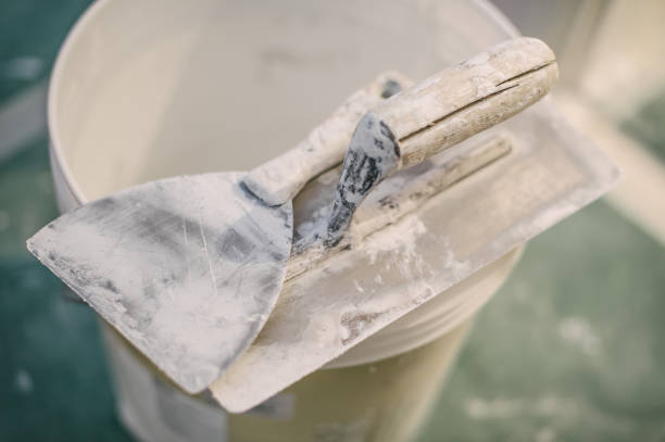 Best Mold Removal for HVAC Installations  in Petal, MS